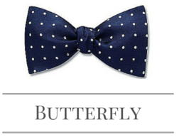 The butterfly bow tie