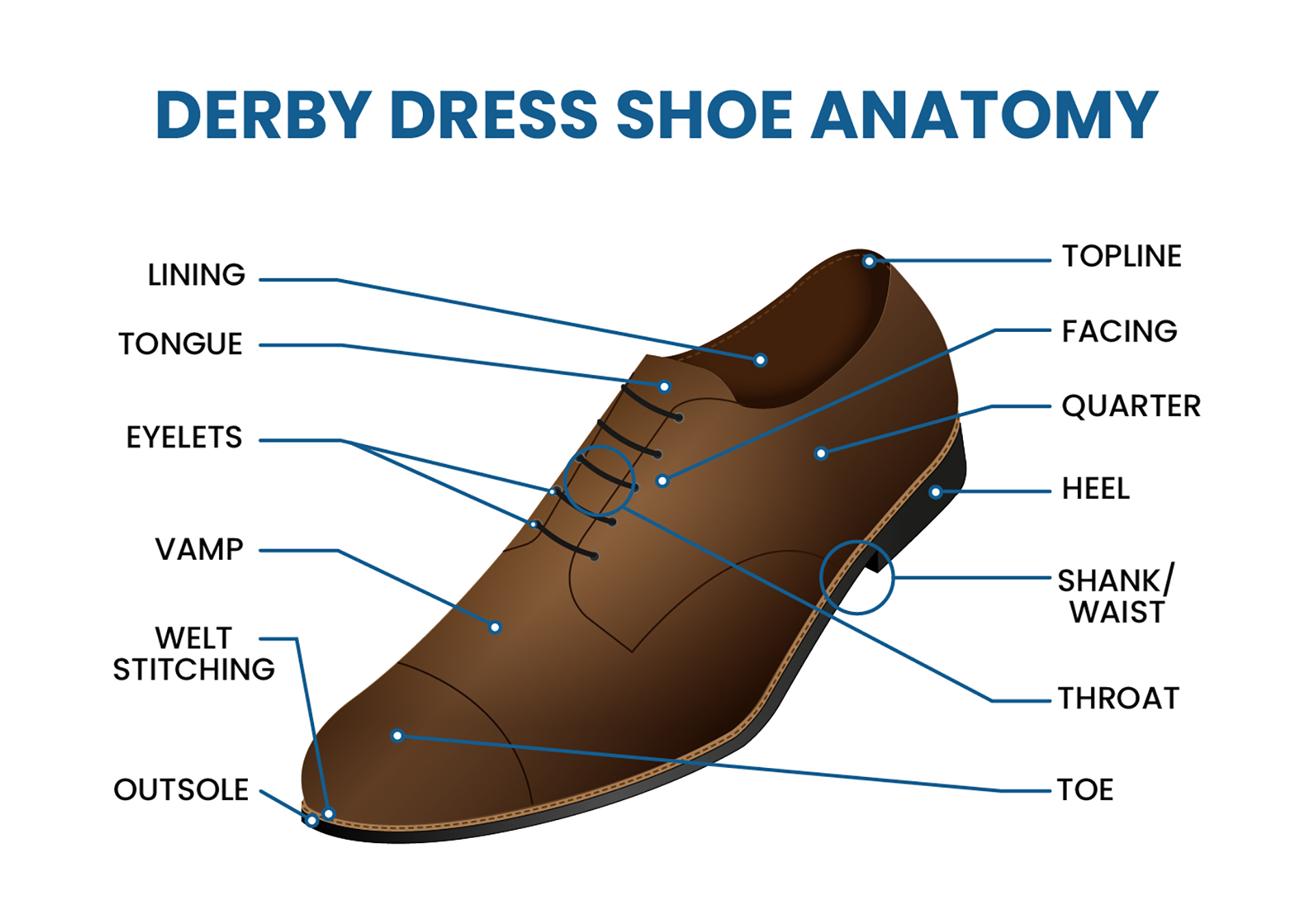 The anatomy of a derby shoe