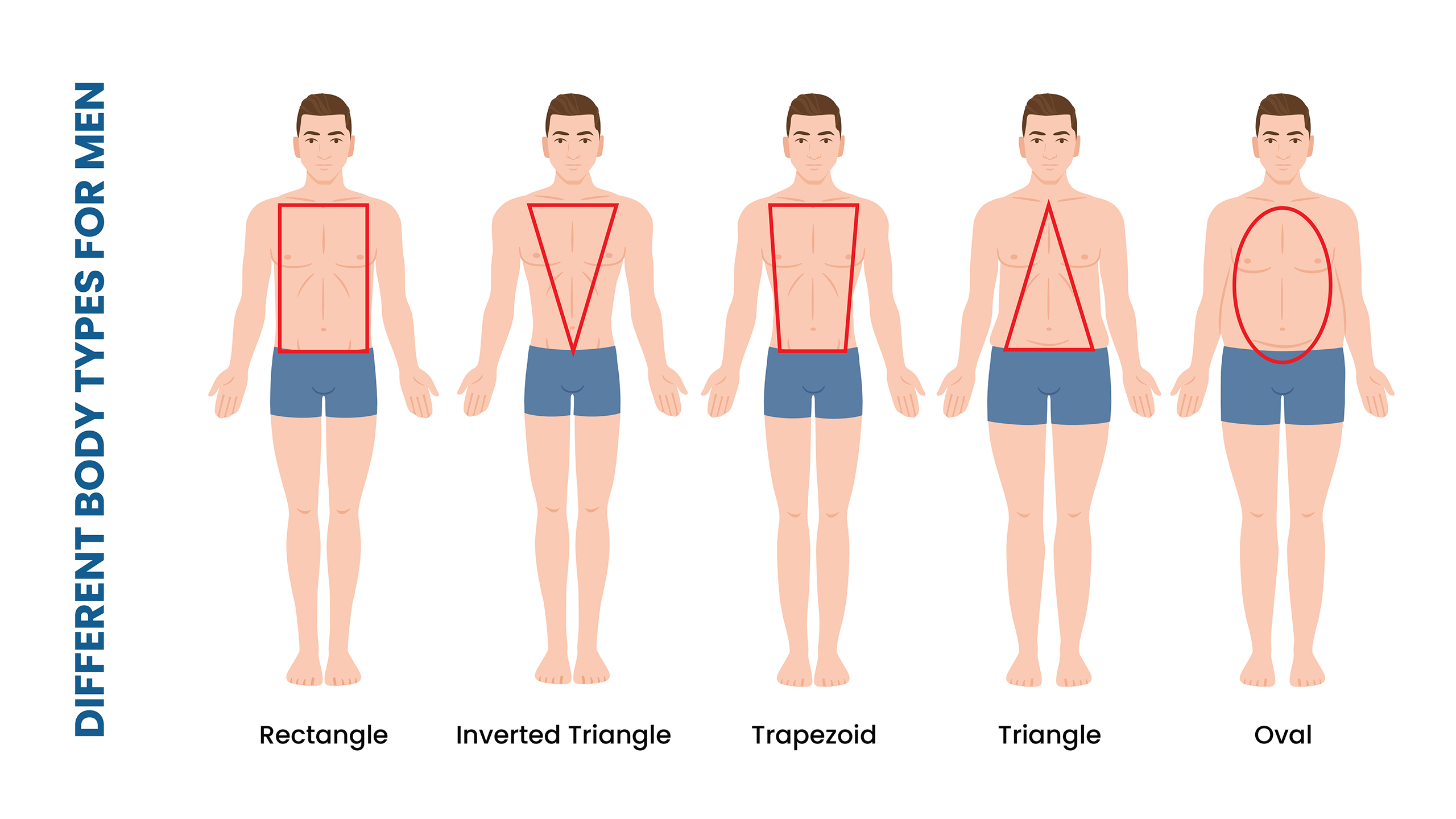 different body types and shapes for men