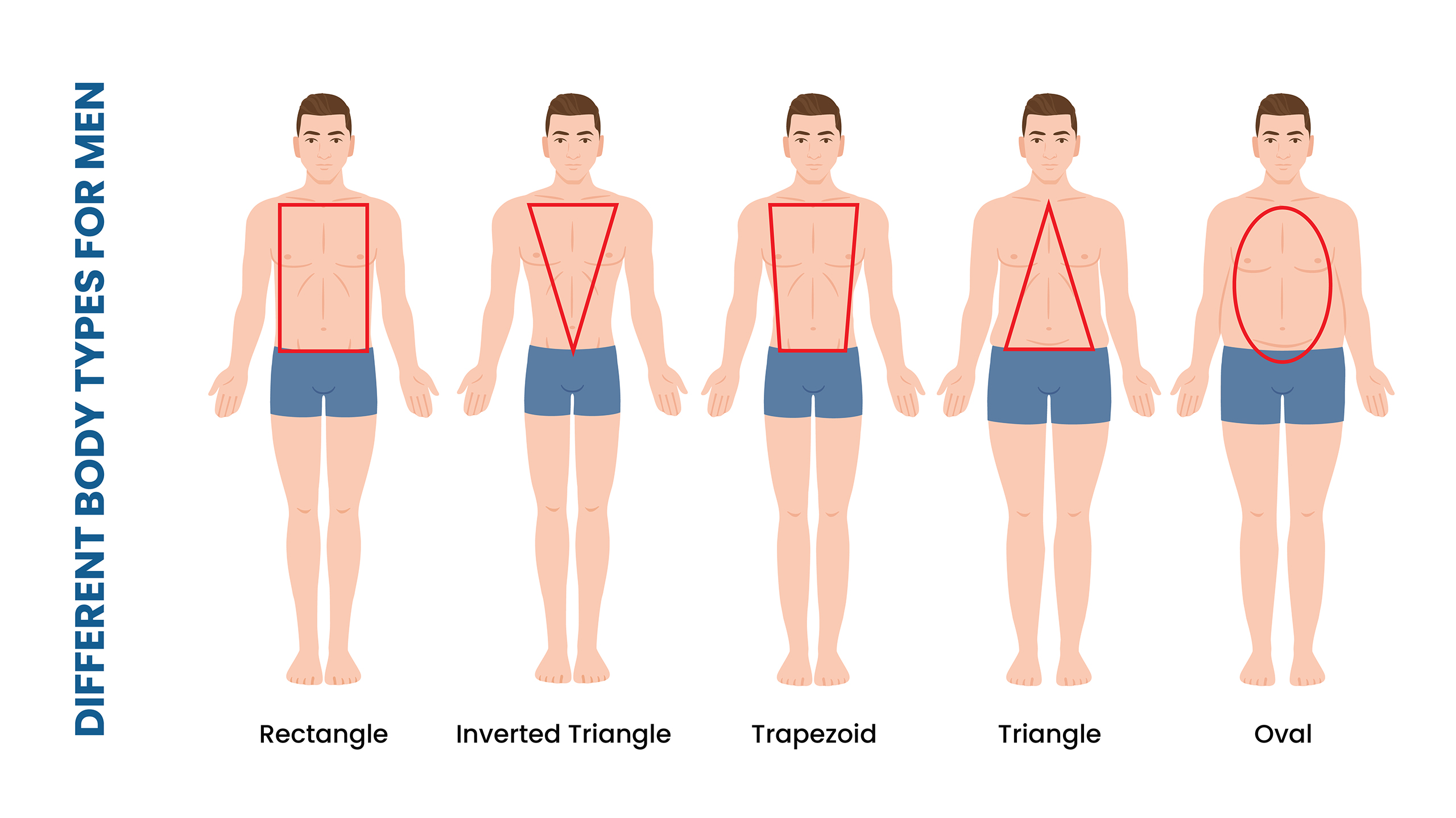 guy body types chart